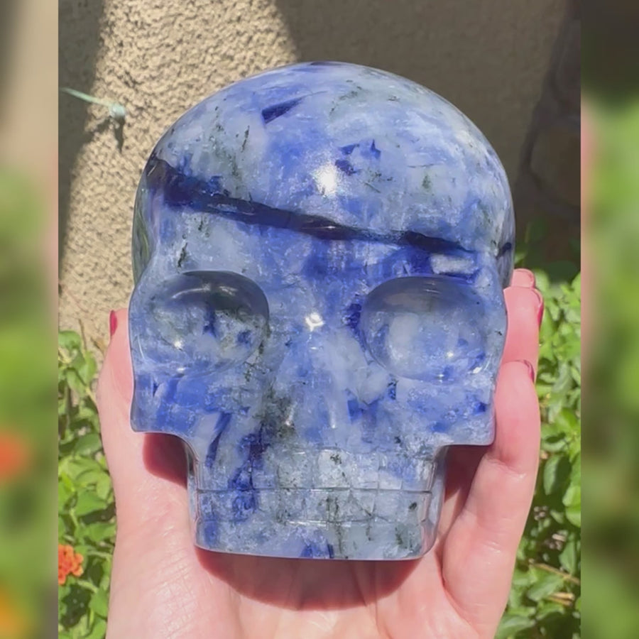 Sodalite Magical Child Crystal Skull Carved by Leandro de Souza