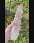 Powerhouse Lemurian Quartz Crystal from Diamantina Brazil