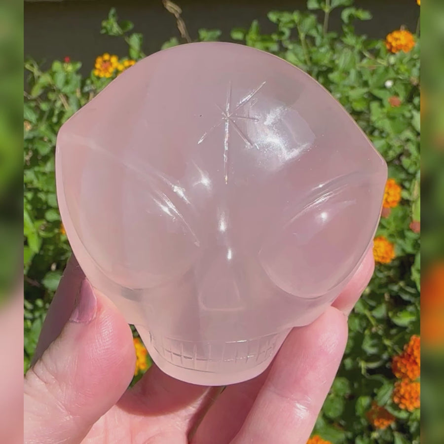 Rose Girasol Quartz Palm Starbeing Crystal Skull Carved by Leandro de Souza