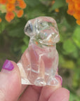 Sirius Quartz Crystal Puppy Carved by Leandro de Souza