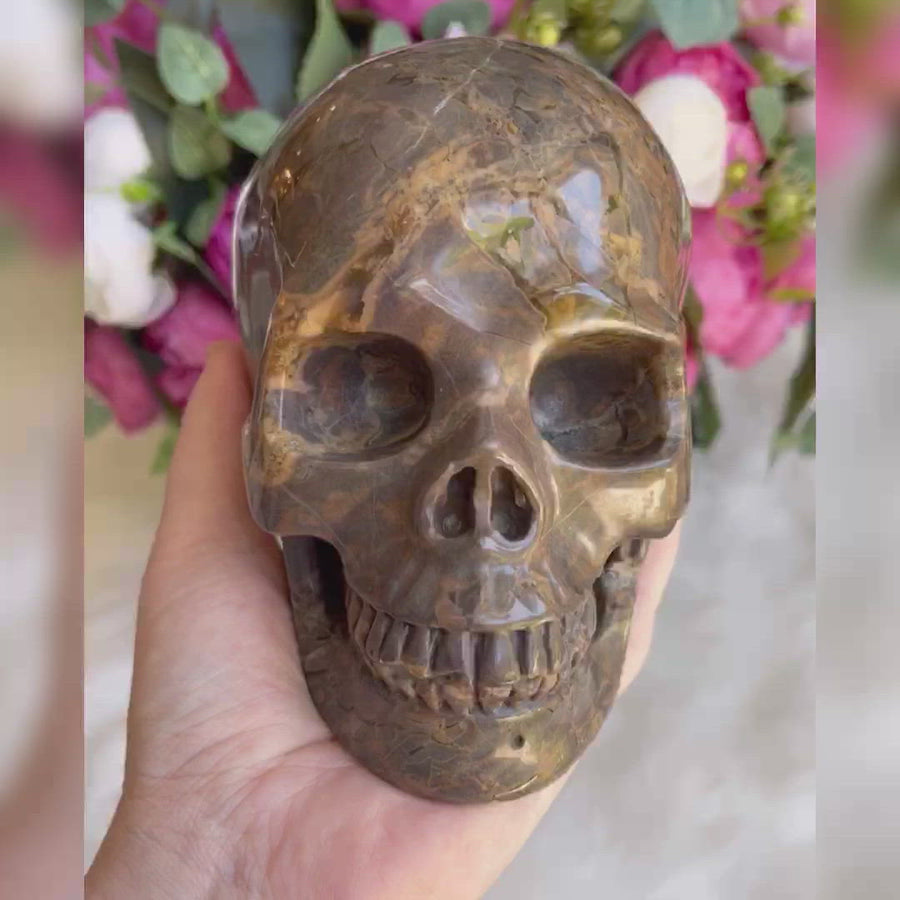 Dinosaur Egg Agate Crystal Skull