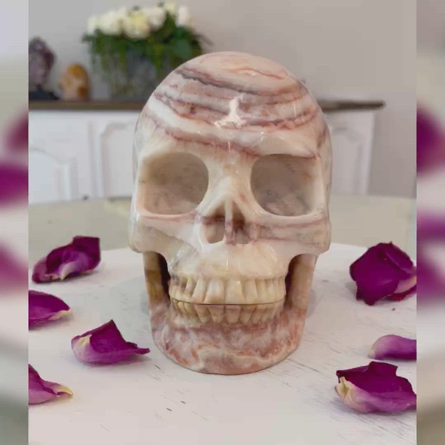 Huge Eastern Jasper Crystal Skull Skull