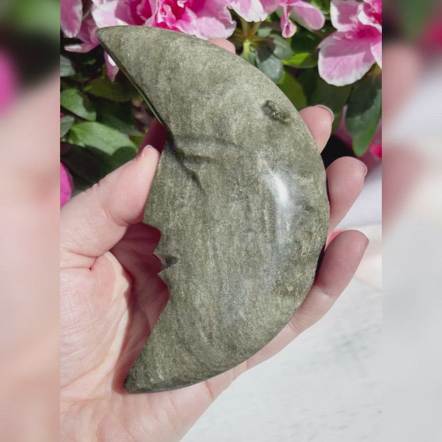 Large Gold Sheen Obsidian Moon