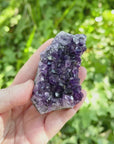 Amethyst Geode Crystal Cluster