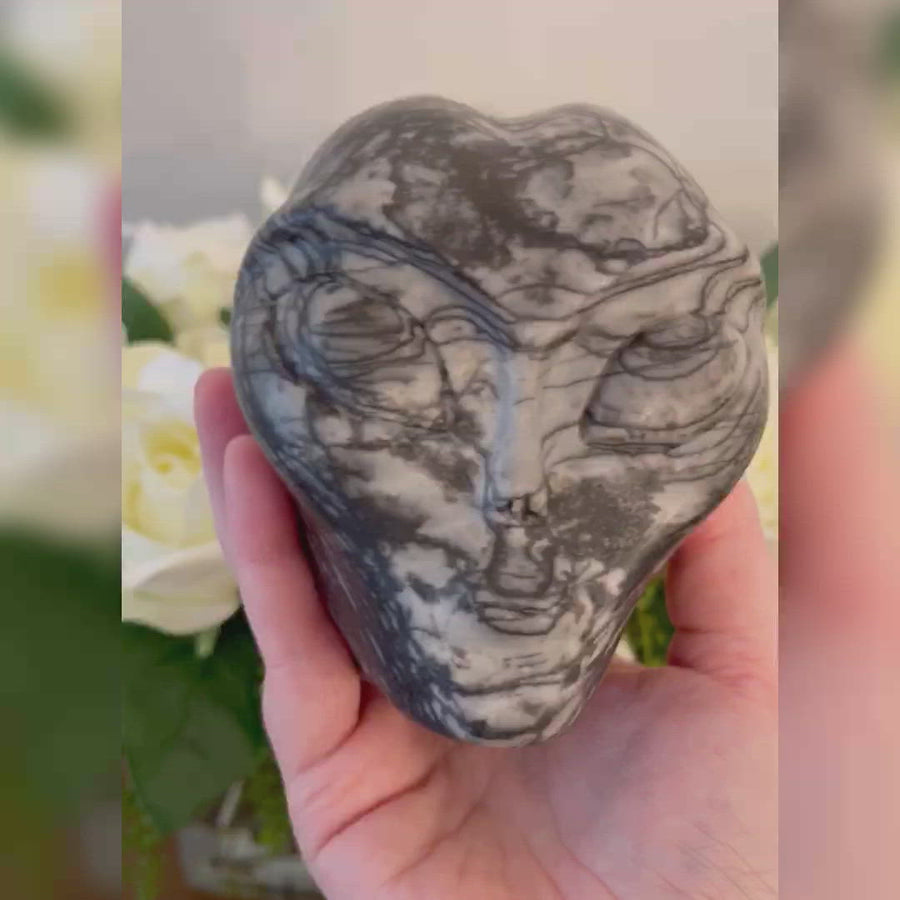 Picasso Jasper Starbeing Crystal Skull