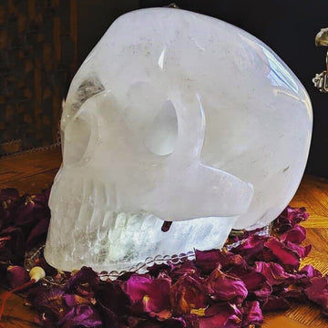 AKASHA Himalayan Quartz Master Crystal Skull Ancient Skull Energized