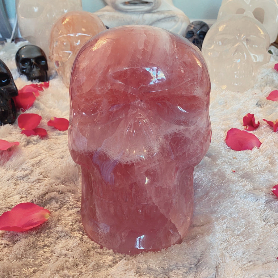 46 lbs Rose Quartz Master Skull with Custom Stand