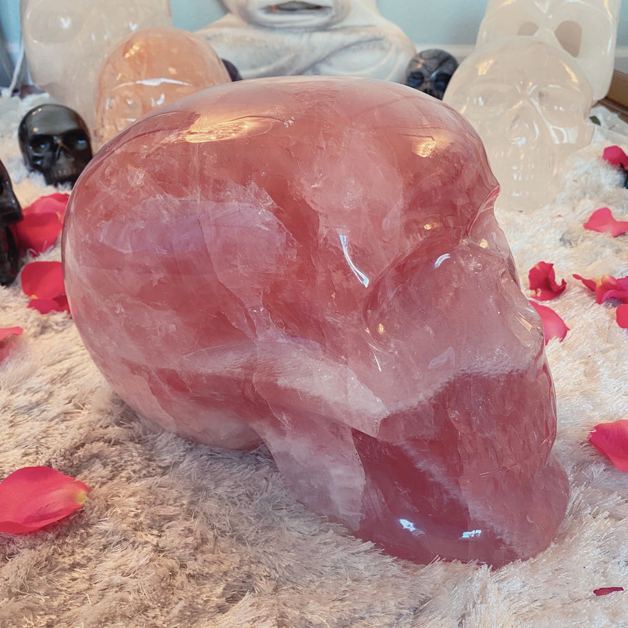 46 lbs Rose Quartz Master Skull with Custom Stand