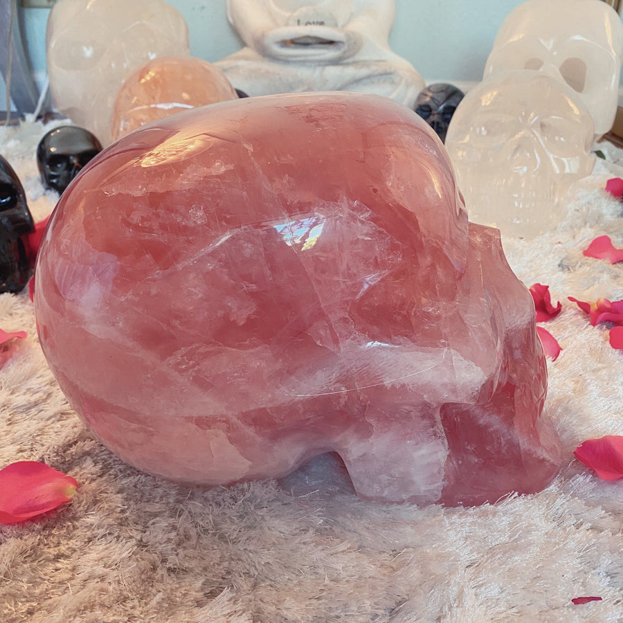 46 lbs Rose Quartz Master Skull with Custom Stand