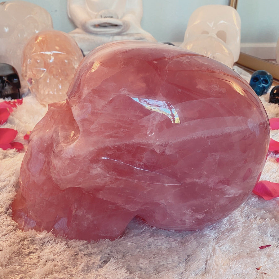 46 lbs Rose Quartz Master Skull with Custom Stand