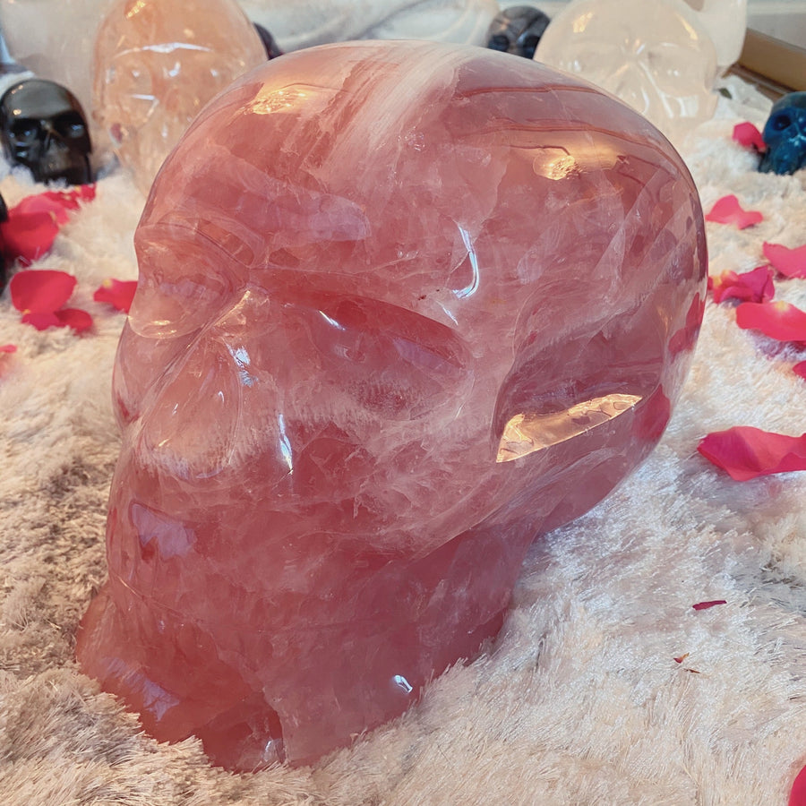 46 lbs Rose Quartz Master Skull with Custom Stand