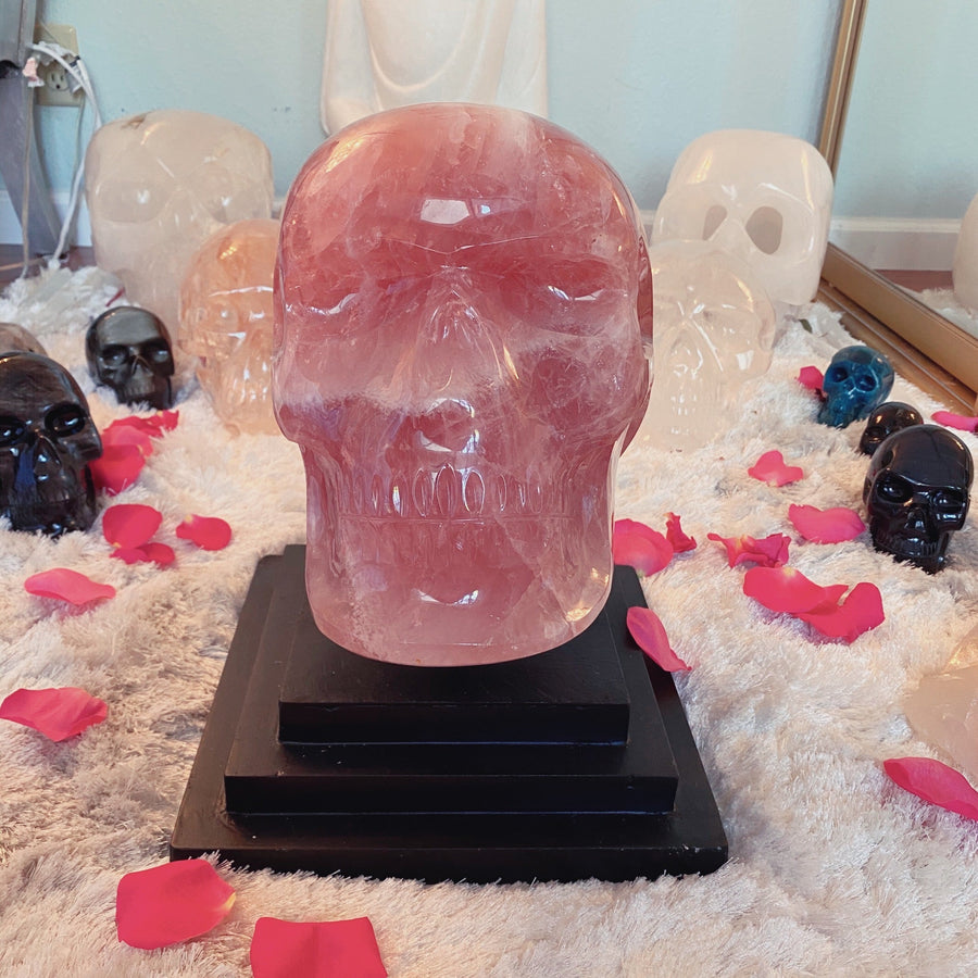 46 lbs Rose Quartz Master Skull with Custom Stand