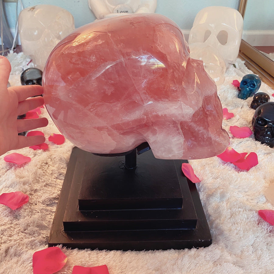 46 lbs Rose Quartz Master Skull with Custom Stand