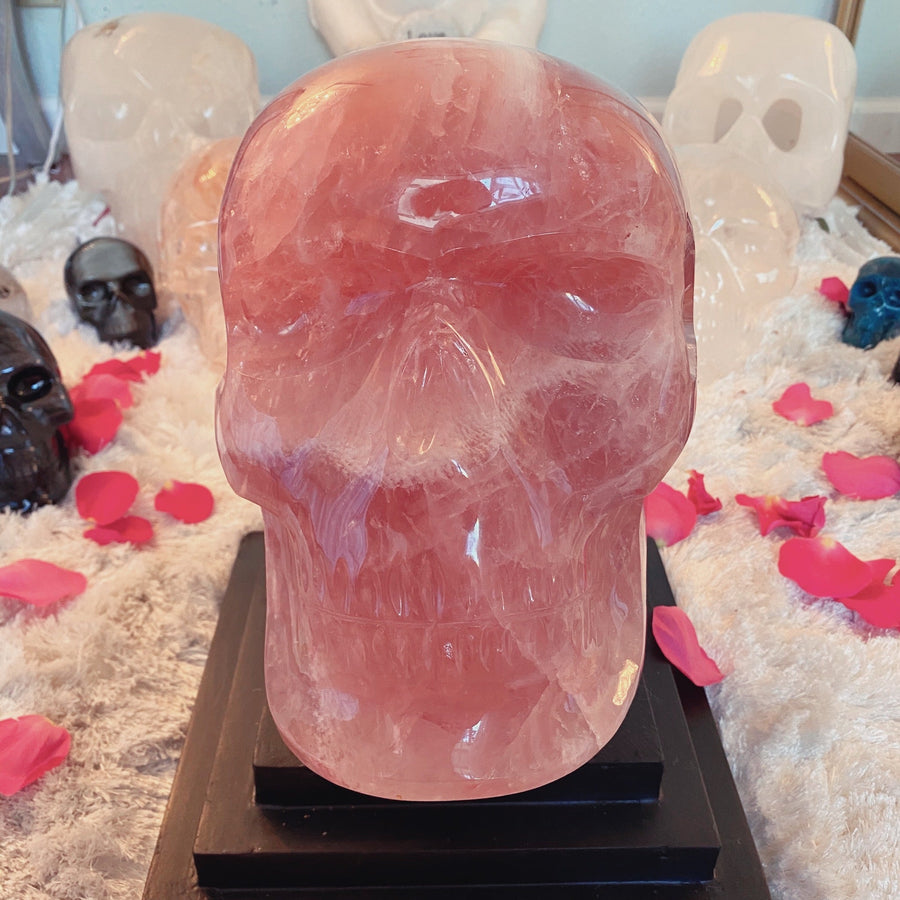 46 lbs Rose Quartz Master Skull with Custom Stand