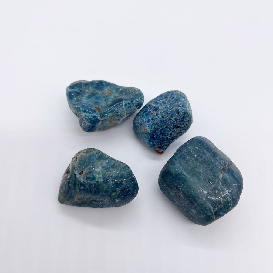 Large Rough Blue Apatite Tumbled