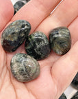 4 Seraphinite Crystal Tumbles