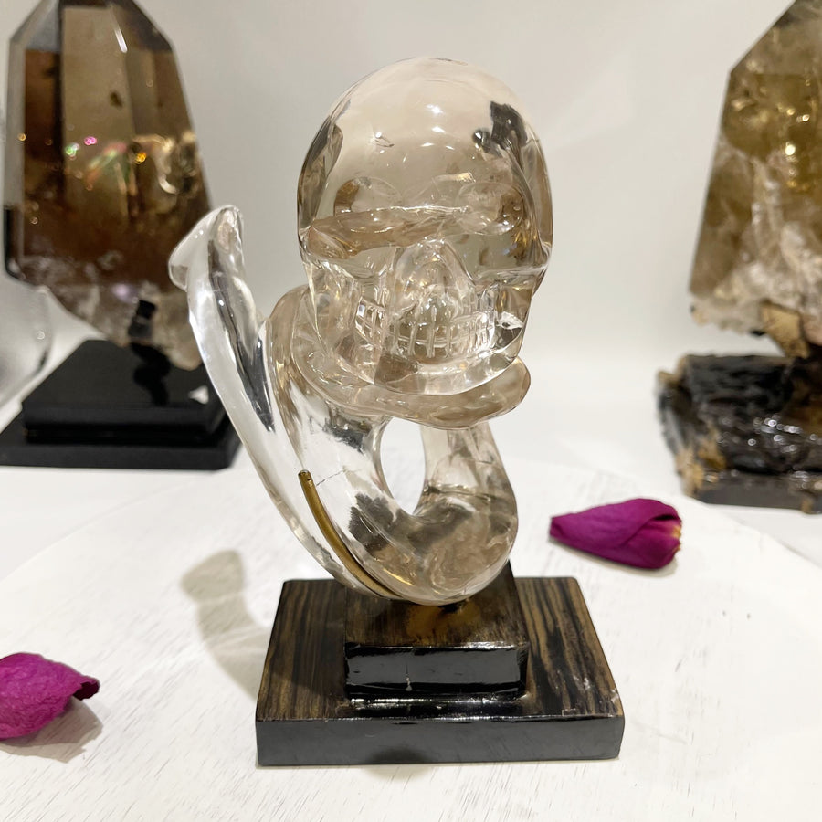 Ultra Clear Light Citrine Crystal Skull with Snake Carved by Wilson Venturini