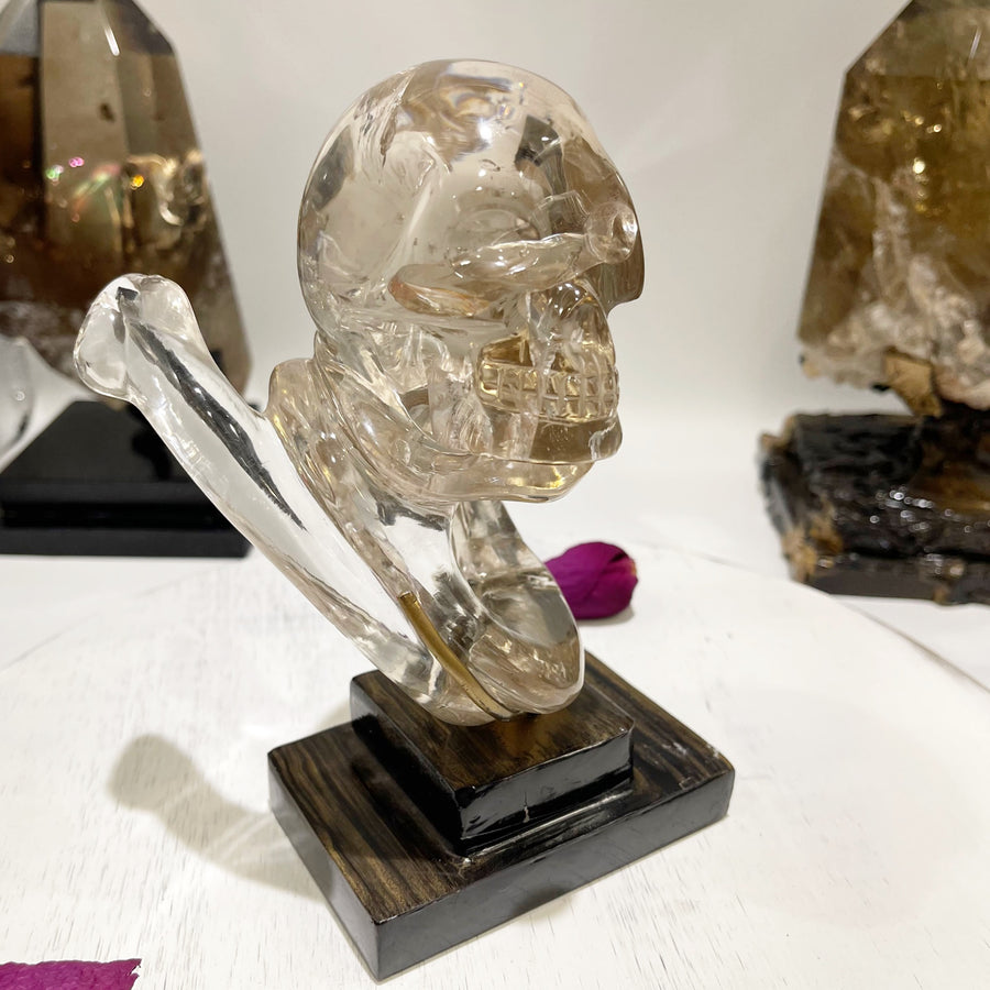 Ultra Clear Light Citrine Crystal Skull with Snake Carved by Wilson Venturini