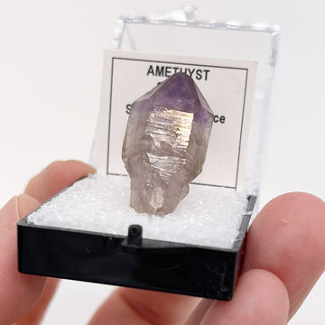 Amethyst Scepter Point from Zambia