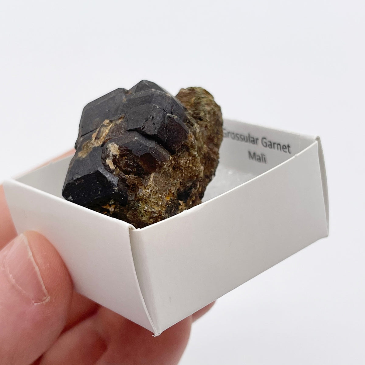 Raw Natural Genuine Garnet from Mali (5 pieces)