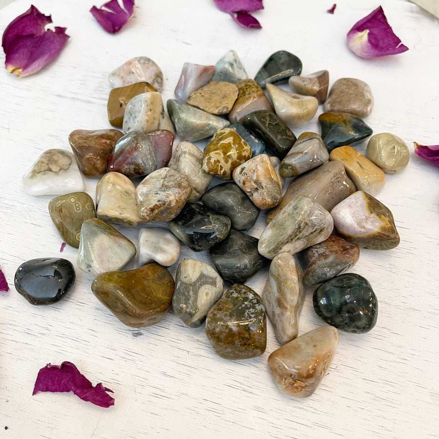 Wholesale Ocean Jasper Crystal Tumbles Lot