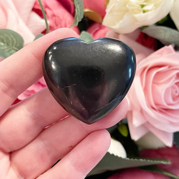 Shungite Hearts (5 pieces)