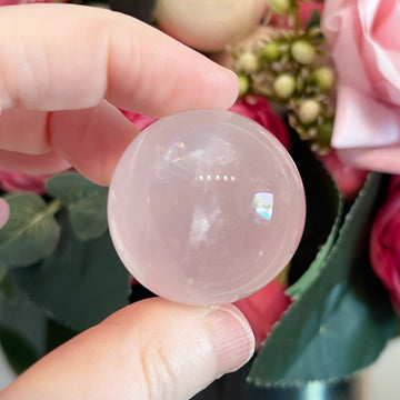 Rose Quartz Spheres from Brazil (5 pieces)