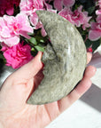 Large Gold Sheen Obsidian Moon