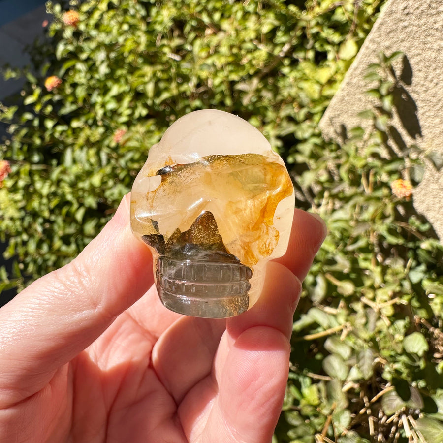 Golden Healer Traveller Crystal Skull Carved by Leandro de Souza