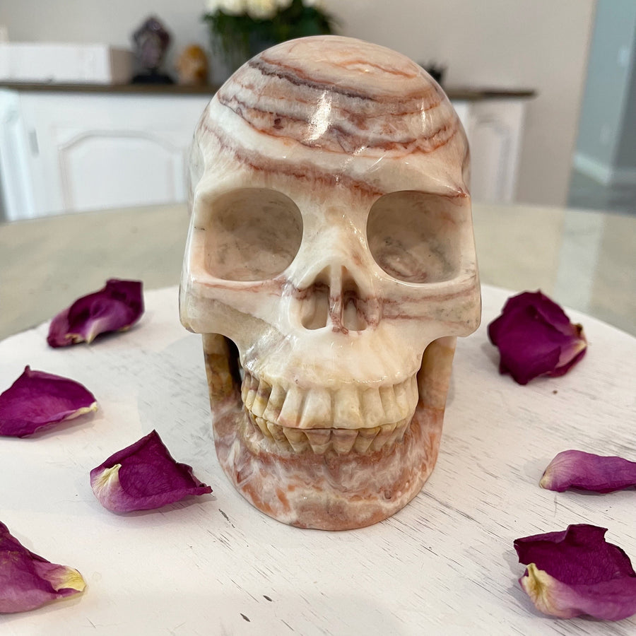 Huge Eastern Jasper Crystal Skull Skull