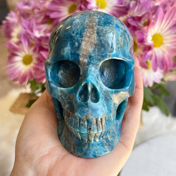 Blue Apatite Crystal Skull