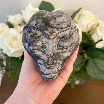 Picasso Jasper Starbeing Crystal Skull