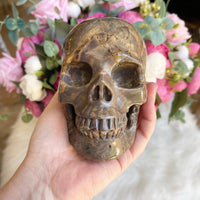 Dinosaur Egg Agate Crystal Skull