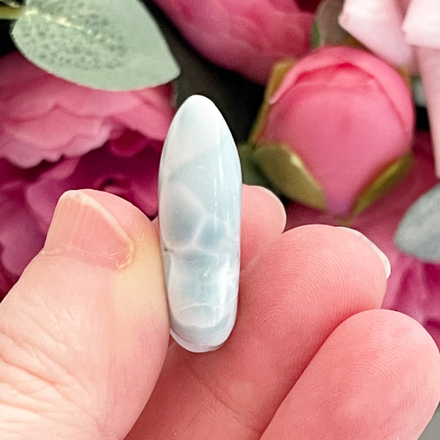 Natural Larimar Crystal Butterfly Grade A