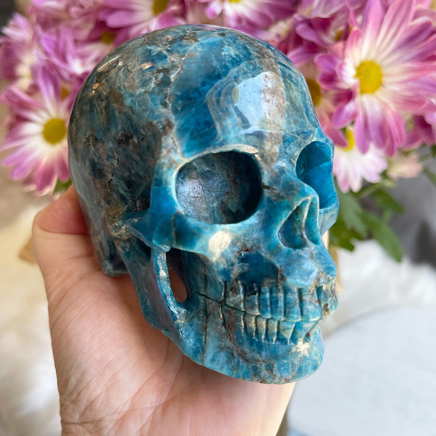 Blue Apatite Crystal Skull