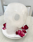 AKASHA Himalayan Quartz Master Crystal Skull Ancient Skull Energized