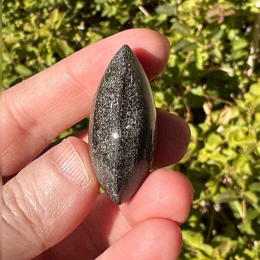 Gold Sheen Obsidian Teardrop Palm Stone