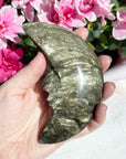 Large Gold Sheen Obsidian Moon