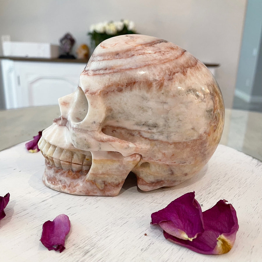 Huge Eastern Jasper Crystal Skull Skull