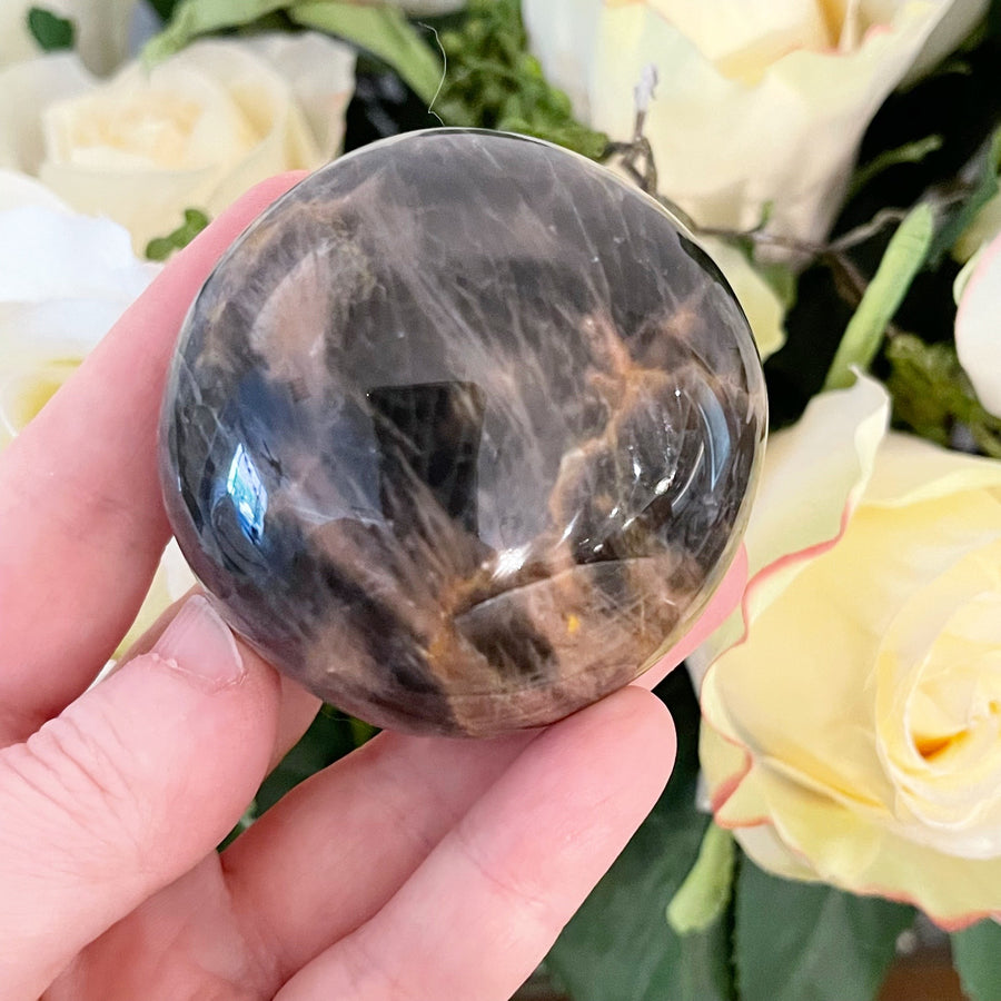 Black Moonstone Crystal Palm Stone