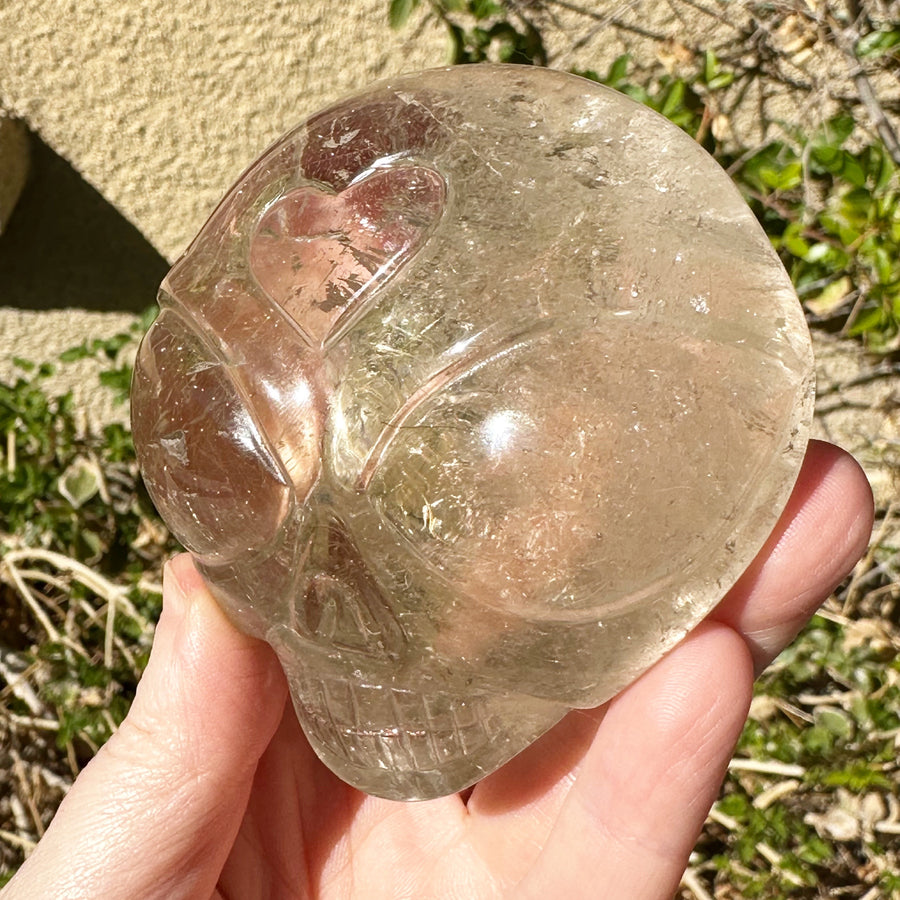 Golden Rutile Citrine Starchild Crystal Skull Carved by Leandro de Souza