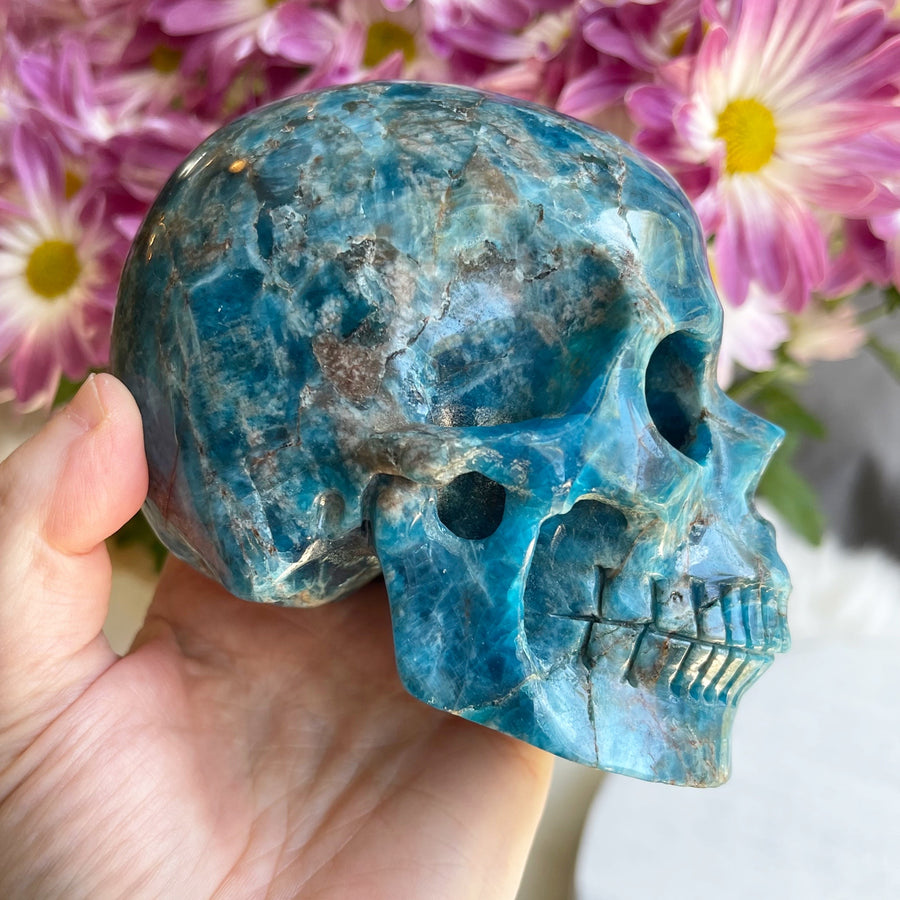 Blue Apatite Crystal Skull