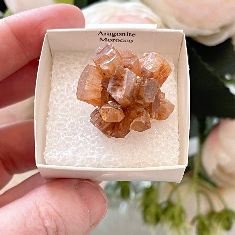 Natural Aragonite Clusters from Morocco (10 pieces)