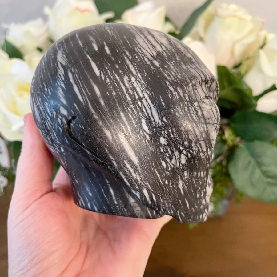 Picasso Jasper Starbeing Crystal Skull
