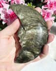 Large Gold Sheen Obsidian Moon