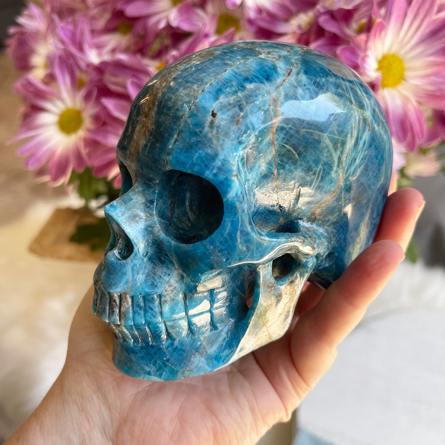 Blue Apatite Crystal Skull