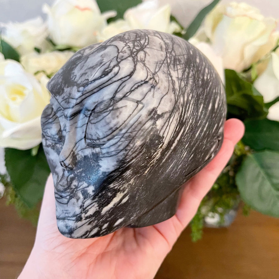 Picasso Jasper Starbeing Crystal Skull