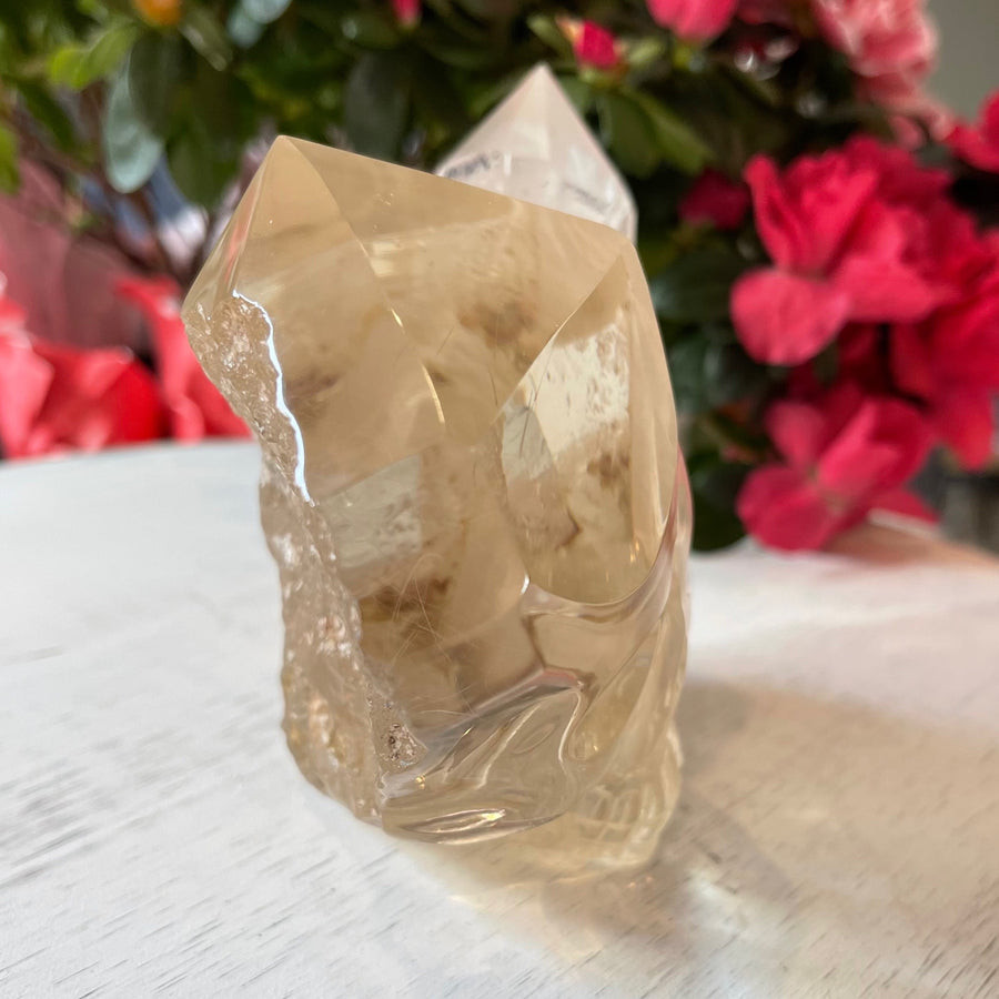 Rutile Lodolite Citrine Crystal Skull with Natural Point Carved by Leandro de Souza