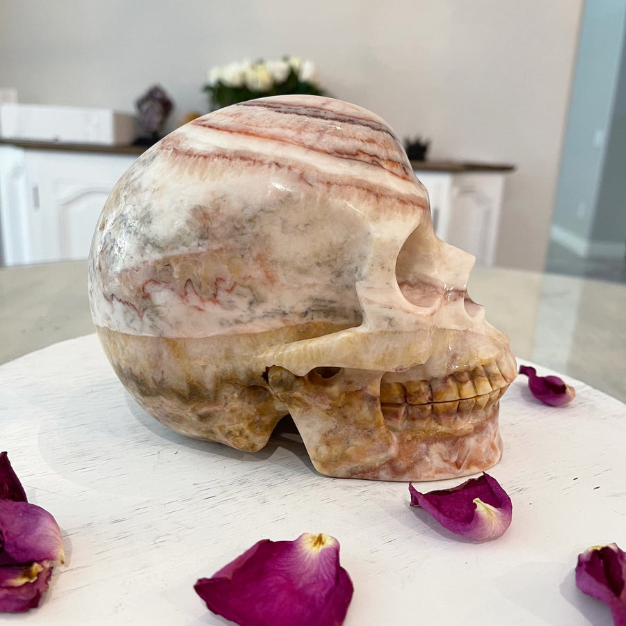 Huge Eastern Jasper Crystal Skull Skull
