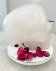 AKASHA Himalayan Quartz Master Crystal Skull Ancient Skull Energized